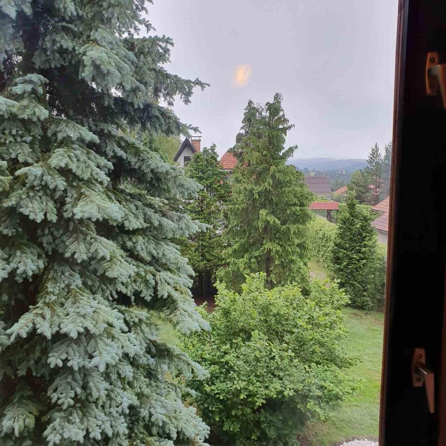 Planinska Kuca Sa Dvoristem Zlatibor Exterior foto