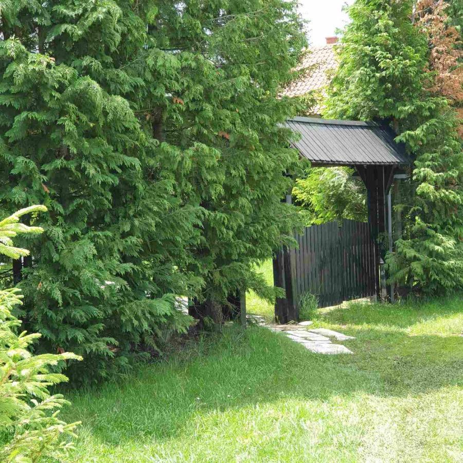Planinska Kuca Sa Dvoristem Zlatibor Exterior foto