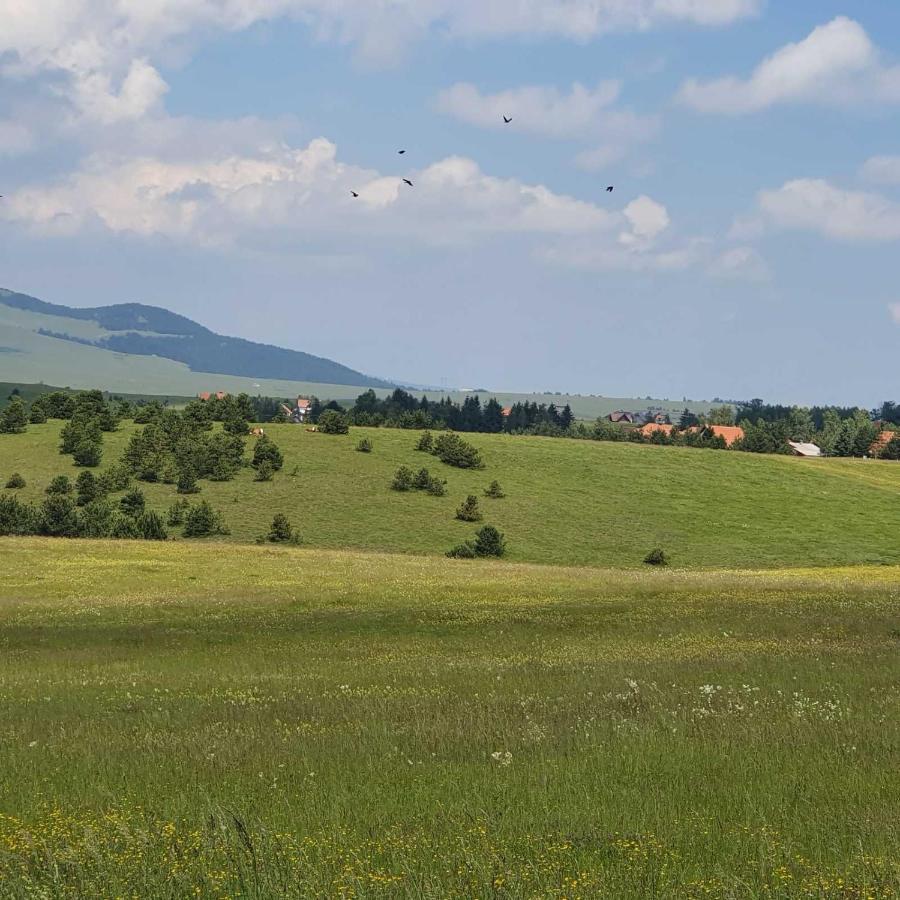 Planinska Kuca Sa Dvoristem Zlatibor Exterior foto