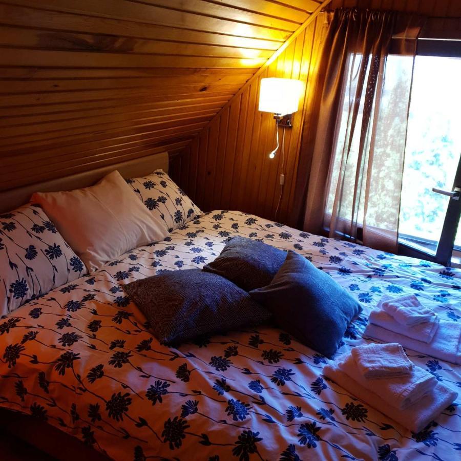 Planinska Kuca Sa Dvoristem Zlatibor Exterior foto