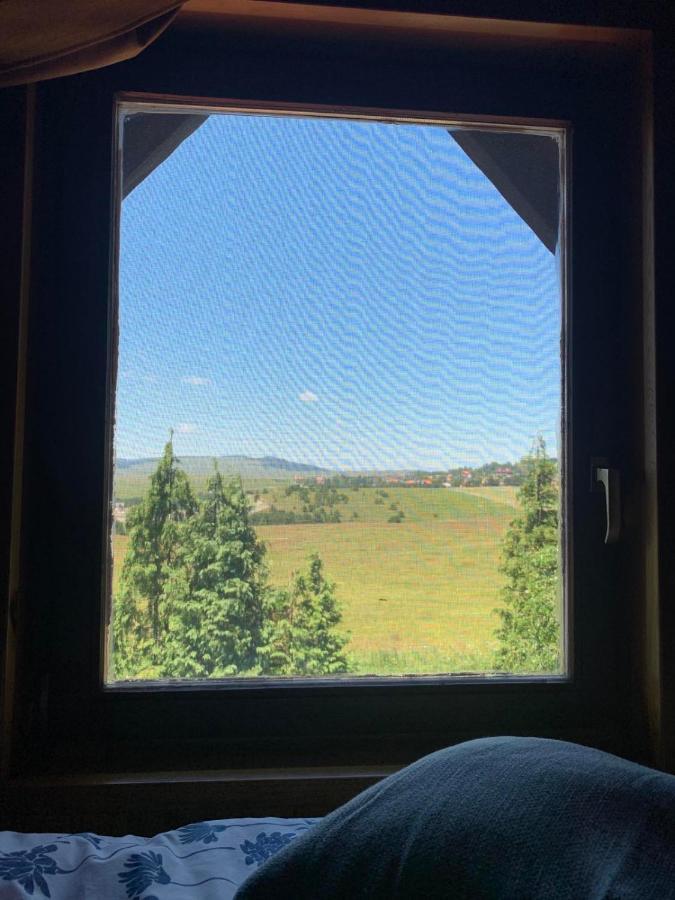 Planinska Kuca Sa Dvoristem Zlatibor Exterior foto