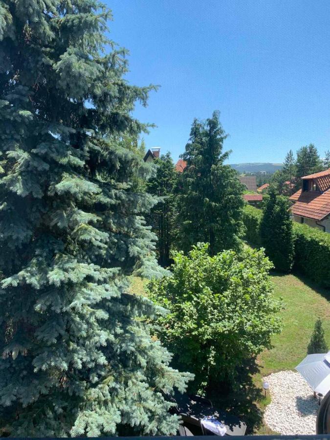 Planinska Kuca Sa Dvoristem Zlatibor Exterior foto