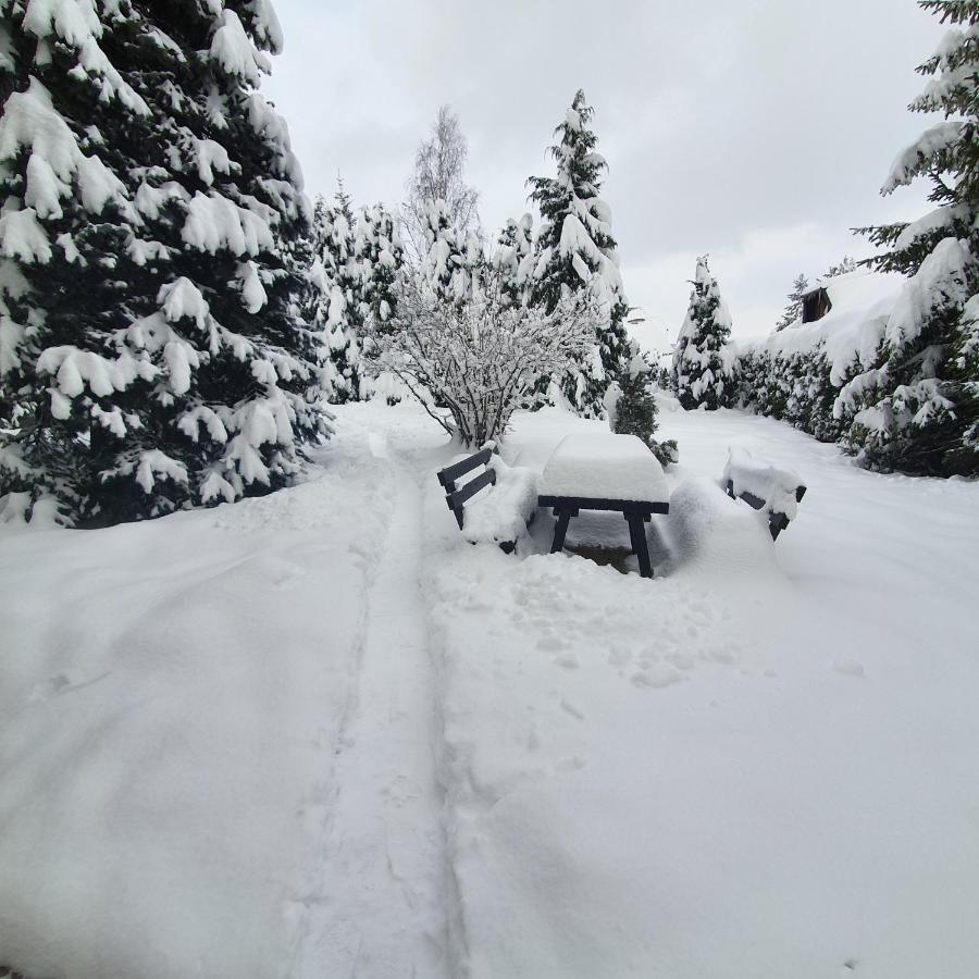 Planinska Kuca Sa Dvoristem Zlatibor Exterior foto